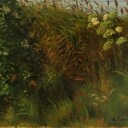 Augusta Læssøe 1851-1926 