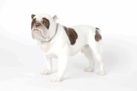 Bing & Grøndahl: Engelsk bulldog af porcelæn.