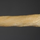 Narhvalstand, L. ca. 245 cm.