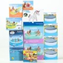 Bestway etc. collection pools etc. (13)