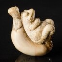 Netsuke i form som en frø på en kalabas, udskåret arbejde i mammutelfenben, signeret