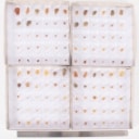 300 pieces of unpolished inclusion amber (300)