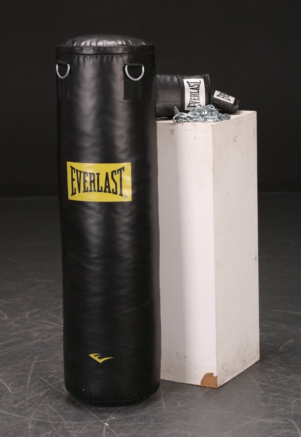 Everlast Boksehandsker og boksesæk med ophæng (3)