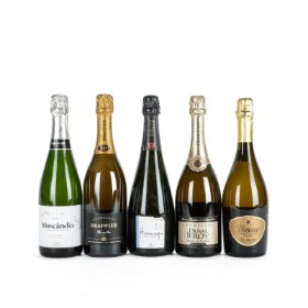 5 fl. sparkling wine (5)