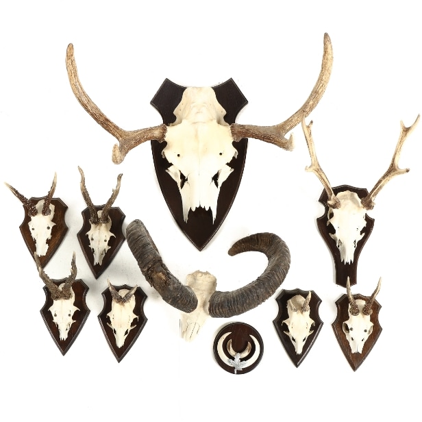 A collection of trophies. (10)