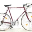 Rennrad Giant Peloton 7400 + Klapprad von Dahon (2)