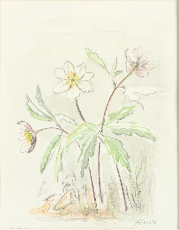 Grethe Gitz & Piet Nieboer. Motiver m/ blomster. (2)