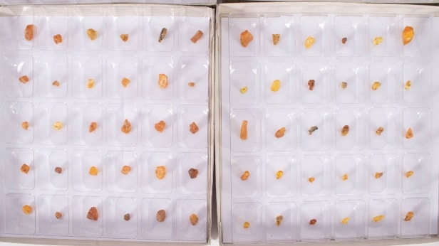 300 pieces of unpolished inclusion amber (300)