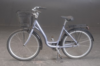 6637, Everton, dame cykel