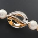 Connection, necklace with freshwater cultured pearls, with interchangeable clasp