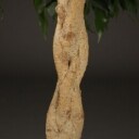 Stueplanter med krukker (3)