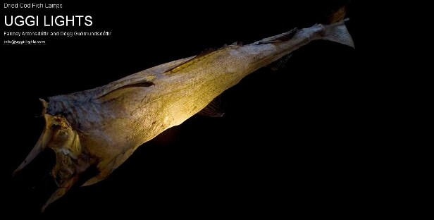 Uggi-light lampe af tørret torske fisk - Til fordel for Dansk Flygtningehjælp