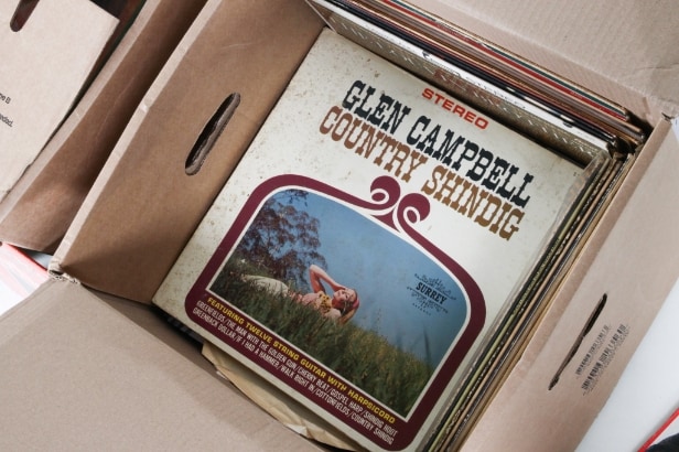 Collection Country & Western LPs / gramophone records (218)