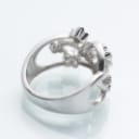 Brilliant ring of 14 kt white gold 0.20 ct