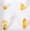 12 large pieces of polished inclusion amber from House of Amber (12)