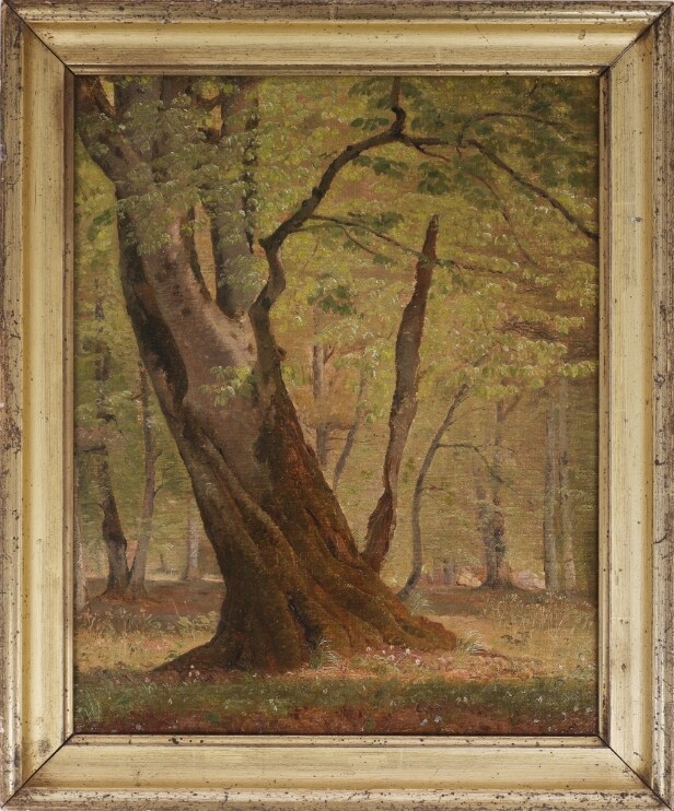 Godfred Christensen: Study of a tree, Dyrehaven | Lauritz.com