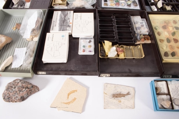 Large scientific mineral collection (approx. 500)