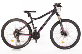 17524 X-Zite mountain bike