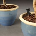 Stueplanter med krukker (3)