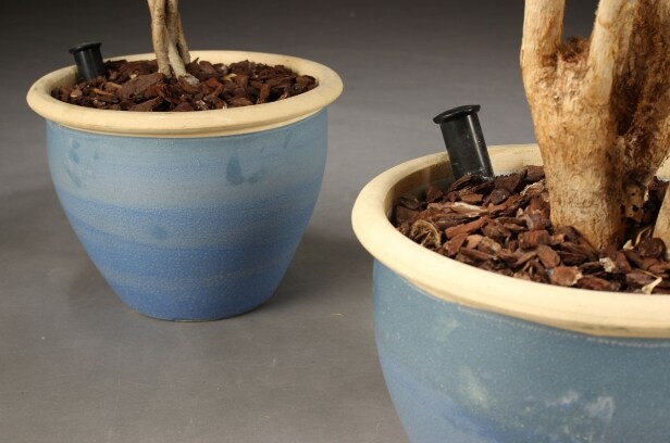 Stueplanter med krukker (3)