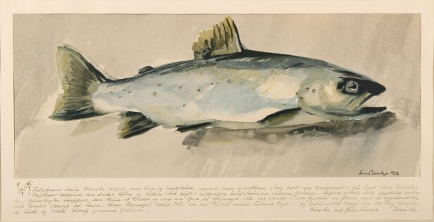 Svend Saabye, litografisk tryk, fisk (2)