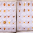 300 pieces of unpolished inclusion amber (300)