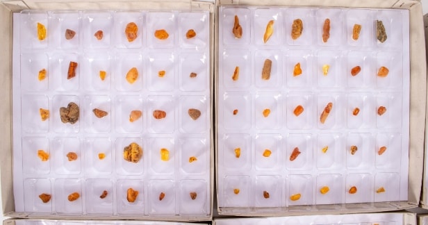 300 pieces of unpolished inclusion amber (300)