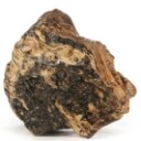 House of Amber. Verdens næststørste stykke rav. 47,56 kg.