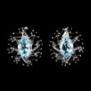 A pair of rhodium-plated sterling silver earrings with faceted topazes and black spinels. (2)