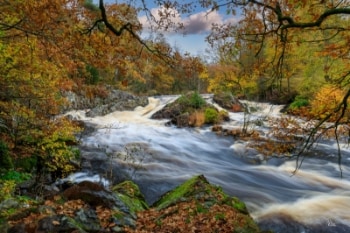 Tage Klee, Efterår på Sumpafallan i Halland i Sverige