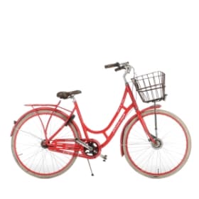 Raleigh Damecykel