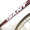 Rennrad Giant Peloton 7400 + Klapprad von Dahon (2)