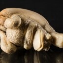 Netsuke i form som en frø på en kalabas, udskåret arbejde i mammutelfenben, signeret