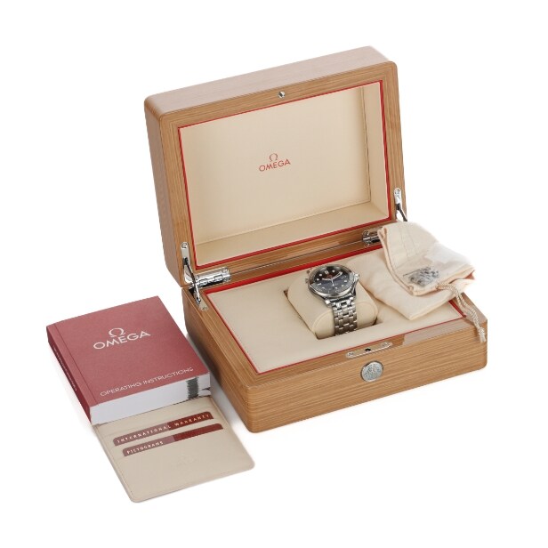Omega Seamaster Professional Diver 300 M Co-Axial Chronometer armbåndsur. herrearmbåndsur
