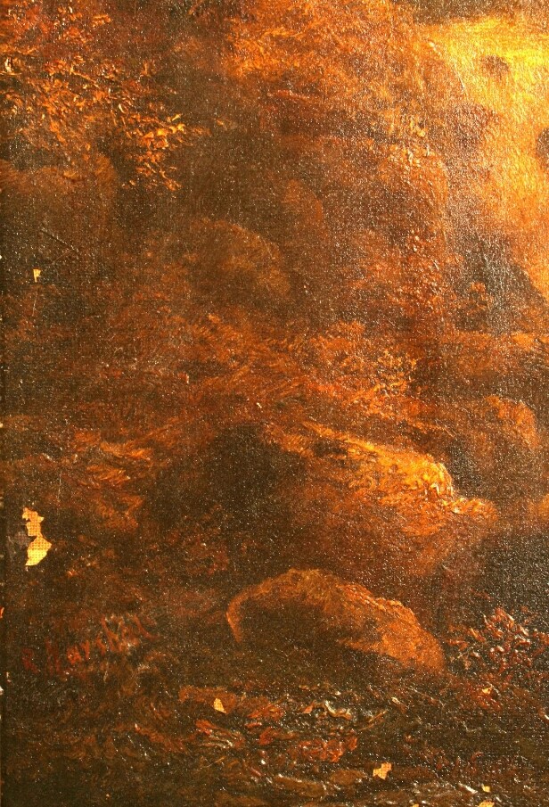 Europæisk kunstner - Vandfald.