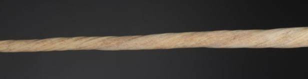 Narhvalstand, L. ca. 245 cm.