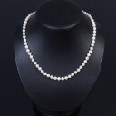 Pärlcollier, Akoya pärlor, Alton, 18k guld