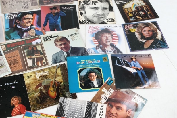 Collection Country & Western LPs / gramophone records (218)