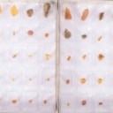 300 pieces of unpolished inclusion amber (300)