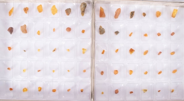 300 pieces of unpolished inclusion amber (300)