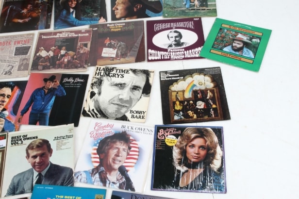 Collection Country & Western LPs / gramophone records (218)