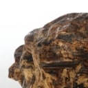 House of Amber. Verdens næststørste stykke rav. 47,56 kg.