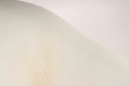 Niels Nielsen for Bing & Grondahl. Giant porcelain polar bear, no