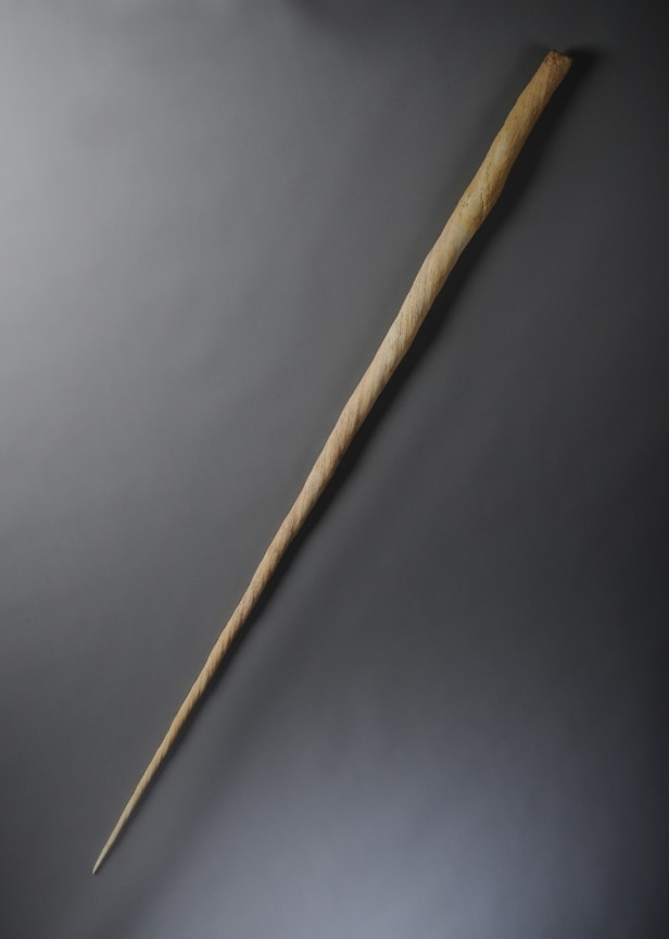 Narhvalstand, L. ca. 245 cm.