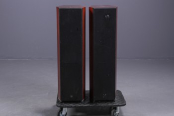 F3 Lyd. Audiovector 5X, gulvhøjttalere (2)
