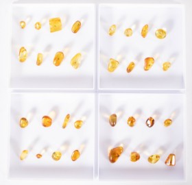 32 pieces clear inclusion amber (32)