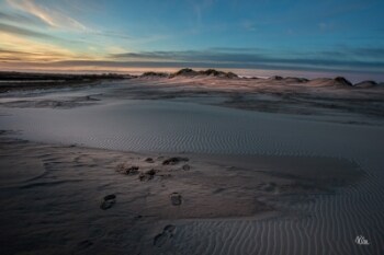 Tage Klee Fodspor på Råbjerg Mile i Skagen