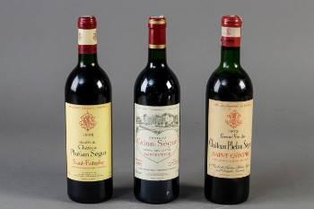 3 vine fra Chateau Calon-Segur og Phelan Segur, Saint Estephe (3)