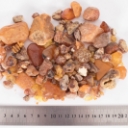Collection of North Sea amber