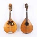 Two mandolins (2)